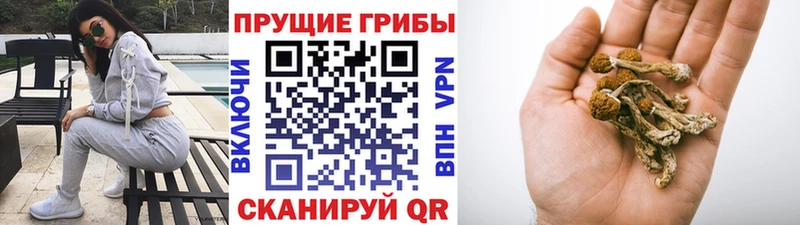 Галлюциногенные грибы MAGIC MUSHROOMS  Купить  Реж 